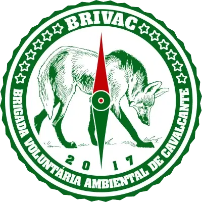 Logo BRIVAC