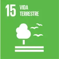 SDG 15 - Life on land