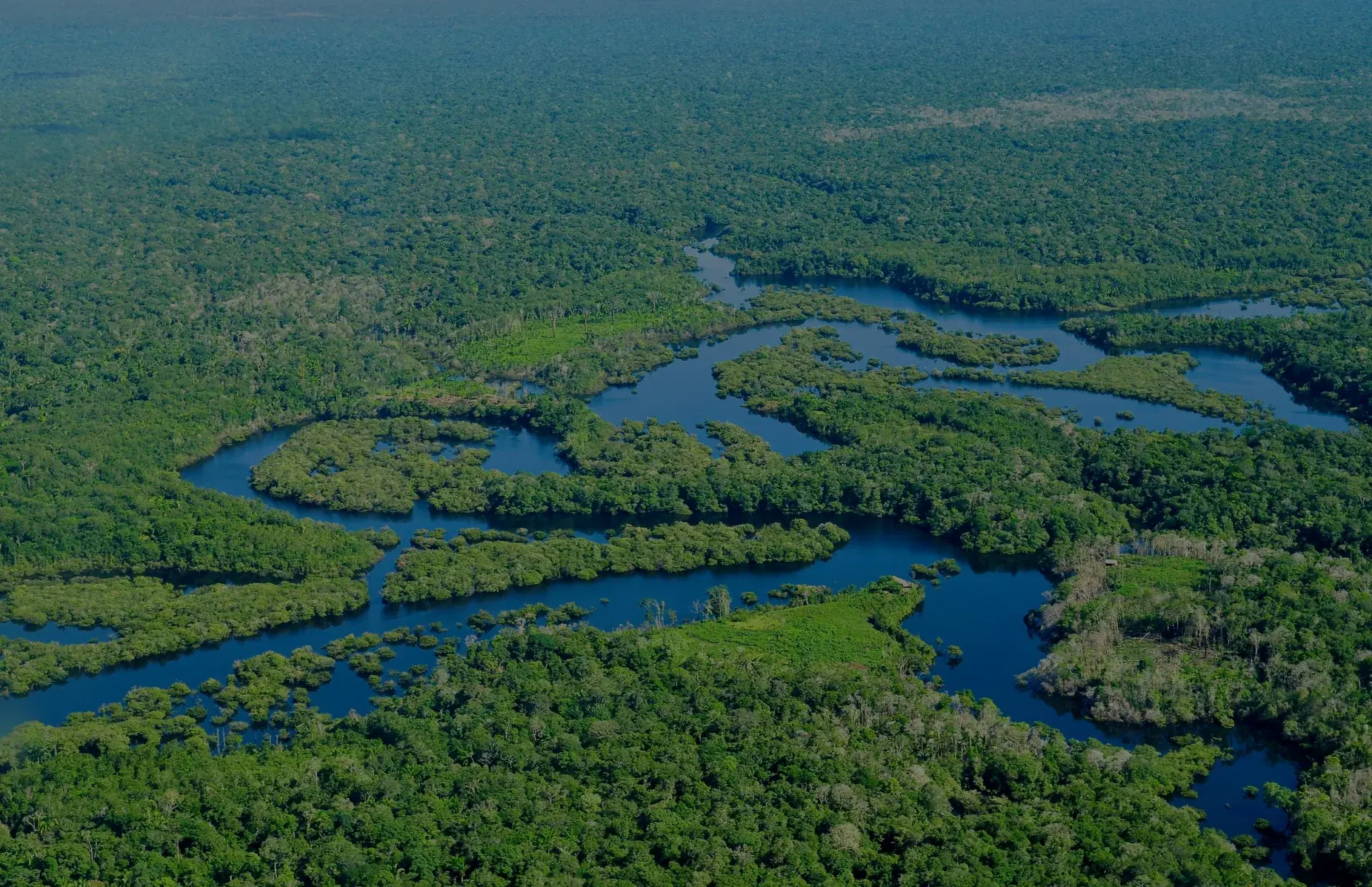 Área alagada de conservação ambiental no Pantanal