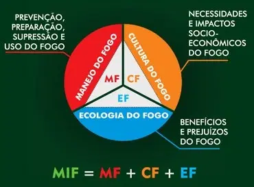 Imagem do post relacionado