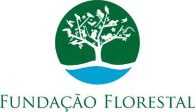 Logo Estado de São Paulo