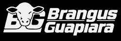 Logo Brangus Guapiara