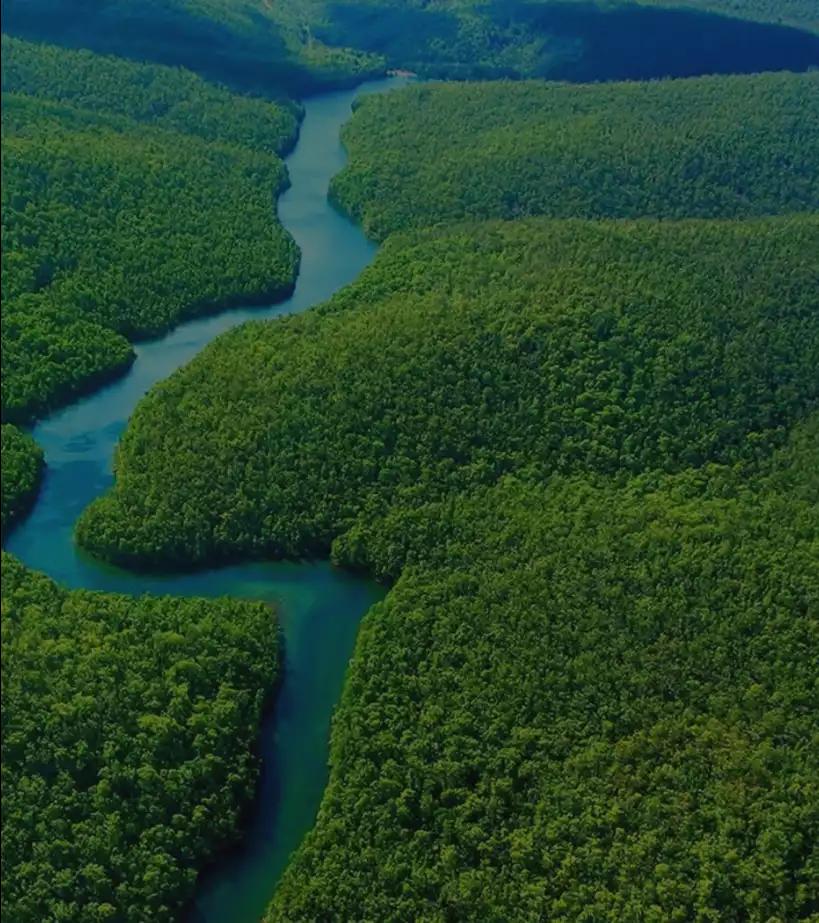 Rio cercado de vegetação densa no Pantanal (Brasil)